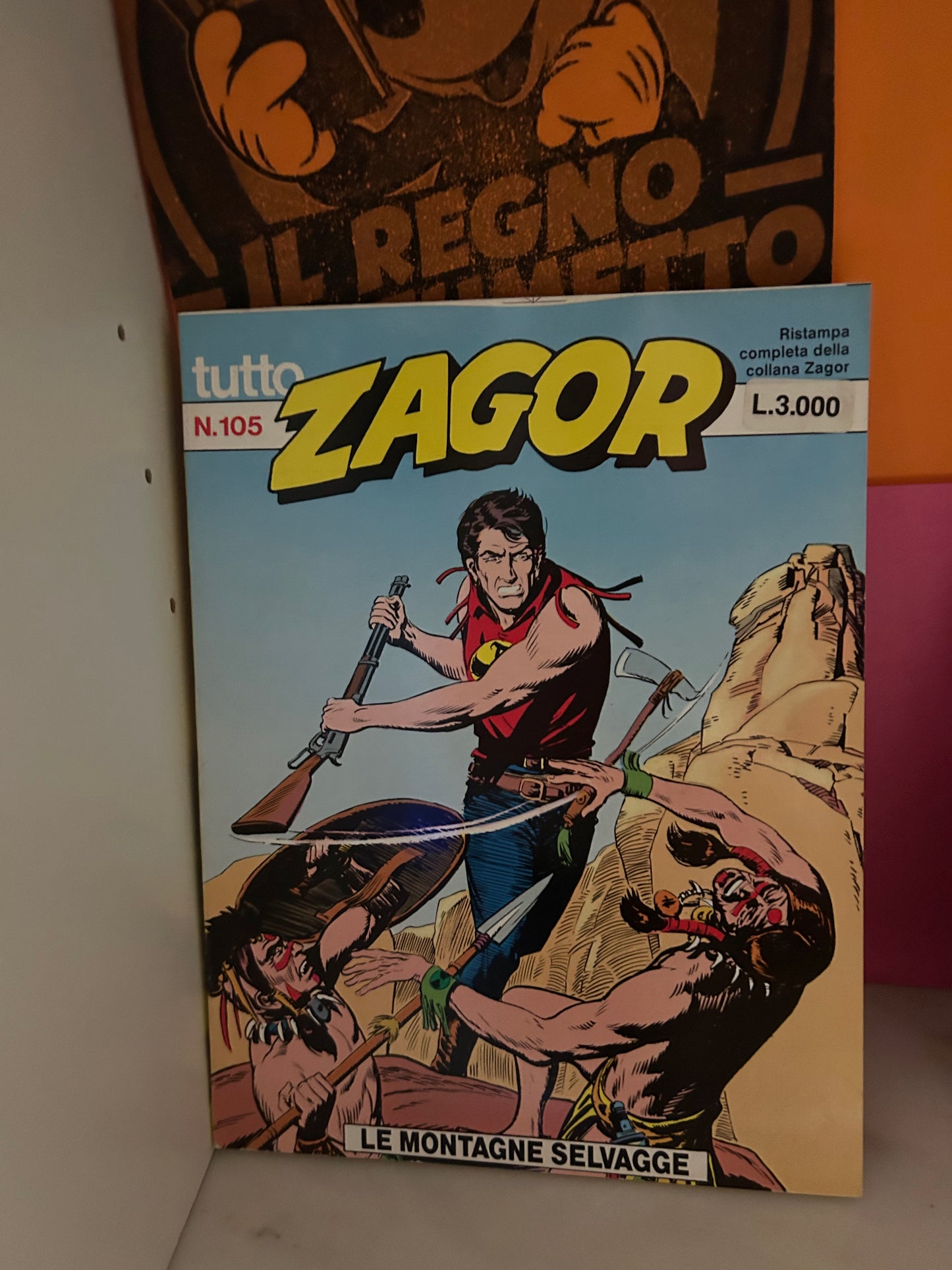 LE MONTAGNE SELVAGGE